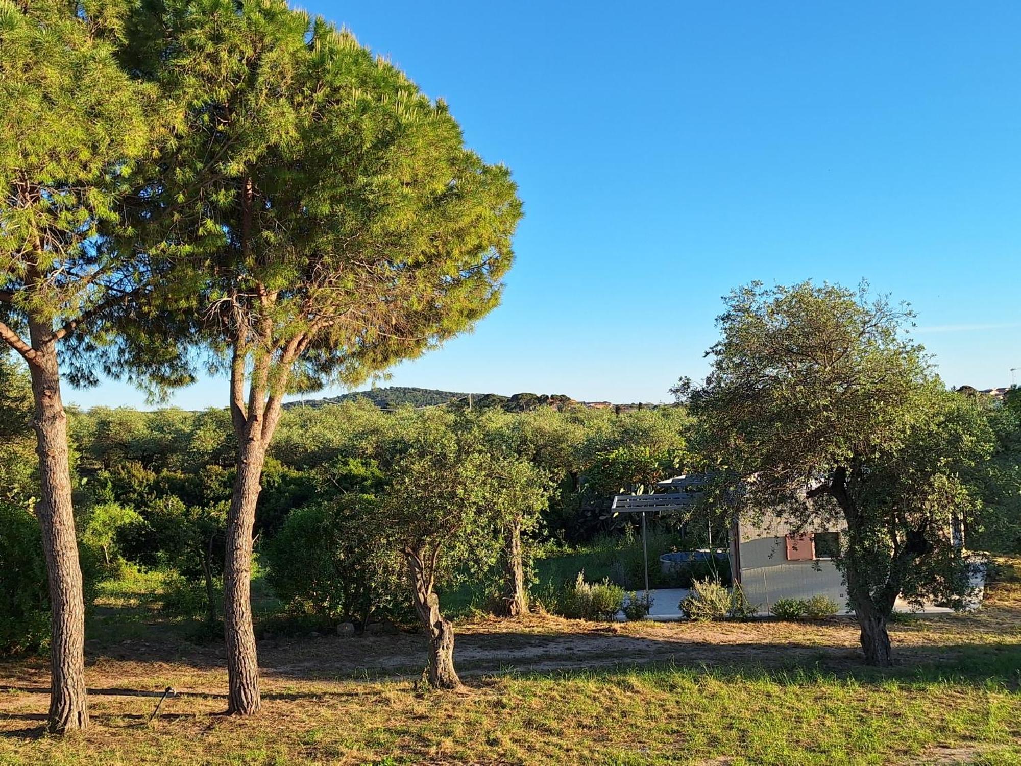 Casale Valverde Alghero Exteriér fotografie